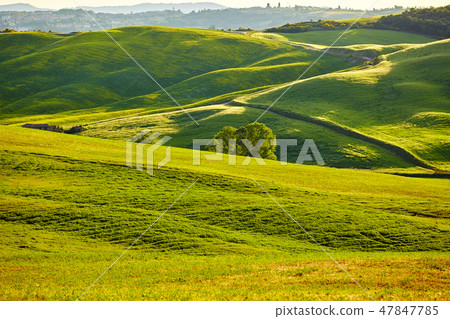 Tuscany hills Tuscany hills 47847785
