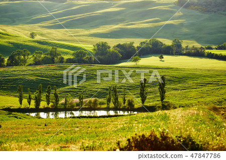 Tuscany hills Tuscany hills 47847786