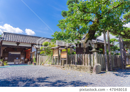 Kyushuyama Sanada 47848018