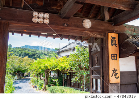 Kyushuyama Sanada 47848019