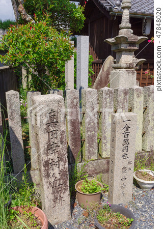 Kyushuyama Sanada 47848020