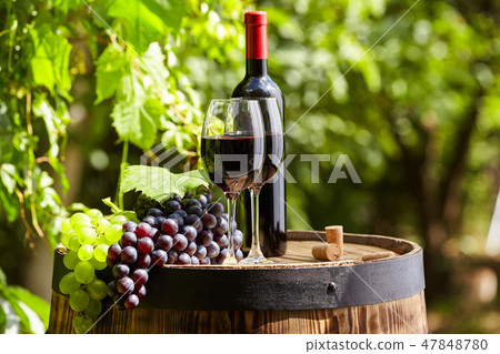 Red wine with barrel on vineyard in green Tuscany, Red wine with barrel on vineyard in green Tuscany, 47848780