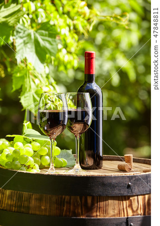 Red wine with barrel on vineyard in green Tuscany, 47848811