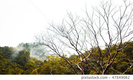 Natural background Natural background 47849062
