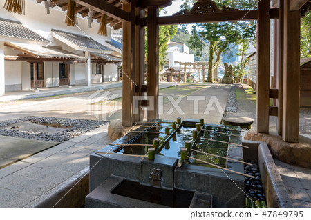 美穗神社 美穗神社 47849795