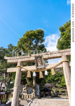 Miho Shrine Torii Torii Torii的方法 47849800