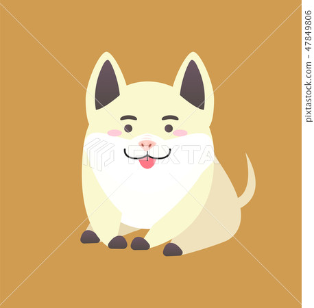 Chinese New Year Pig Pretends to be Dog Isolated 47849806