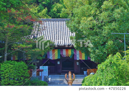 Ishidaji main hall Ishidaji main hall 47850226