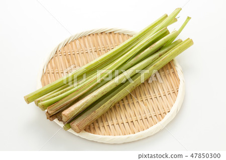 一個敷料 一個敷料 47850300