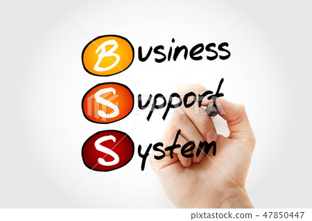 BSS - Business Support System, acronym BSS - Business Support System, acronym 47850447