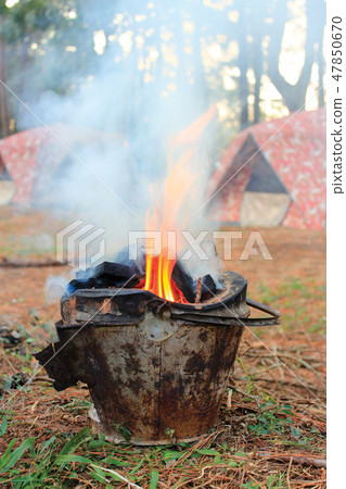 Camping in the forest Camping in the forest 47850670