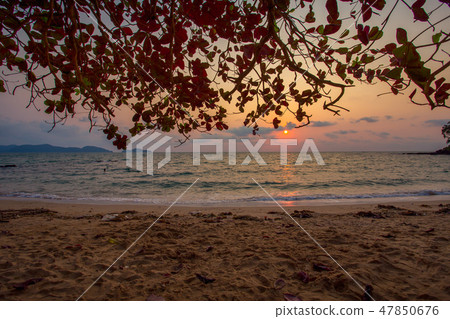 Cloud - Sky, Dawn, Dramatic Sky, Dusk, Fog 47850676