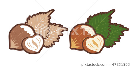 Vector emblems hazelnuts Vector emblems hazelnuts 47851593