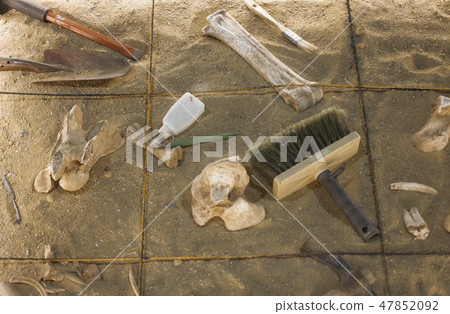 An antiquities excavation site. tools and exhibits An antiquities excavation site. tools and exhibits 47852092