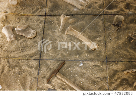 An antiquities excavation site. tools and exhibits An antiquities excavation site. tools and exhibits 47852093