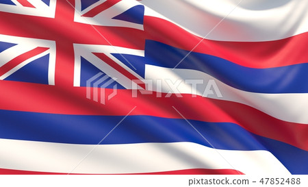 State of Hawaii flag. Flags of the states of USA. 47852488