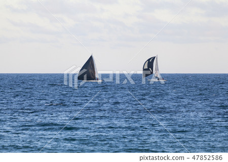 Yachts with blacks sails in the blue waters Yachts with blacks sails in the blue waters 47852586