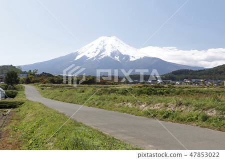 Mount Fuji  47853022