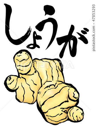 姜插圖信 47853293