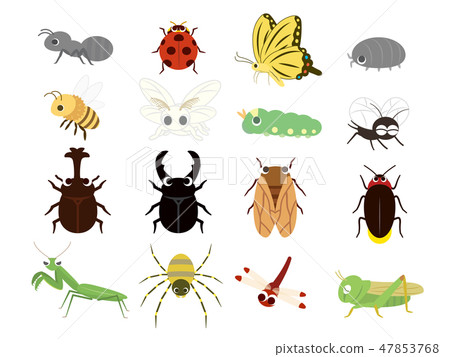 Cute insect set 1 47853768