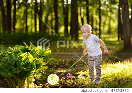 Cute little boy catches butterflies with scoop-net Cute little boy catches butterflies with scoop-net 47853853