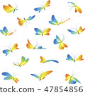 Set different butterflies 47854856