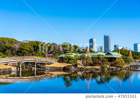 Hama Rikyu Imperial Garden和Toyohashi Tower Mansion 47855101