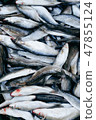 Raw fish background. Gray mullet. 47855124