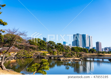 Hama Rikyu Imperial Garden和Toyohashi Tower Mansion 47855195
