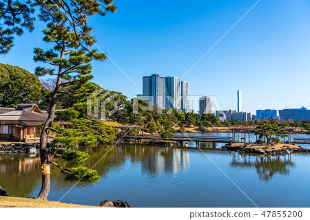 Hama Rikyu Imperial Garden和Toyohashi Tower Mansion 47855200