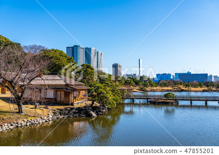 Hama Rikyu Imperial Garden和Toyohashi Tower Mansion 47855201