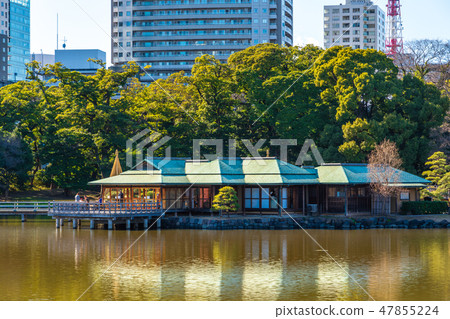 Hamarikyu Garden 47855224
