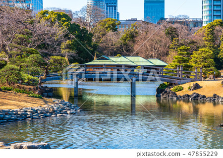 Hamarikyu Garden 47855229