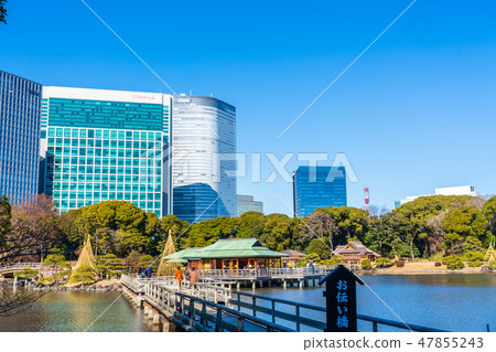 Hamarikyu Garden Hamarikyu Garden 47855243