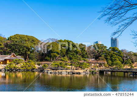 Hamarikyu Garden 47855244