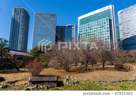Hama Rikyu Imperial Garden A view of Karetta Shiodome from the flower garden 47855303