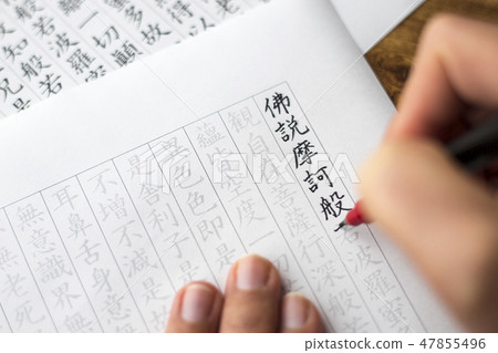 轉錄中的人 47855496