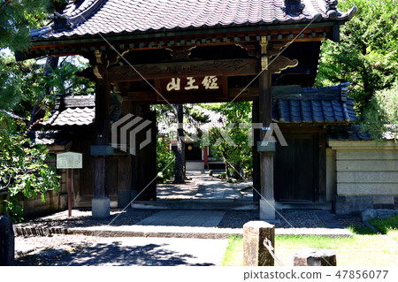Minami Shinagawa的Honkoji寺的正門 Minami Shinagawa的Honkoji寺的正門 47856077