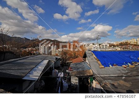 Jungleung-dong, Residence, Roof 47856107