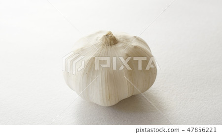 Garlic Garlic 47856221