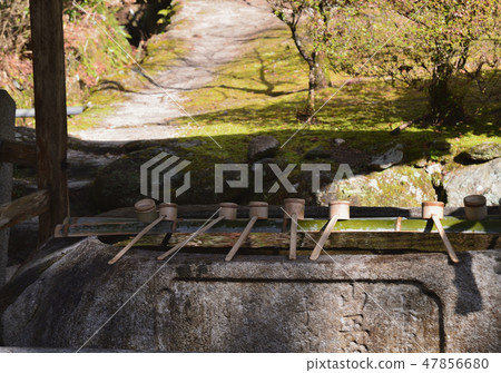 Hand-wash facilities 47856680