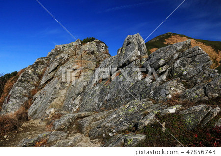 Tohoku Iidake Festival Road到Ieyutoyama秘密地方的頂峰 47856743
