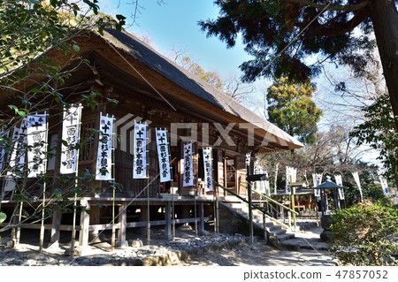 鎌倉/杉本寺本殿 47857052
