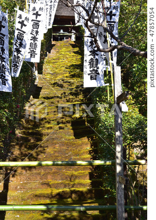 杉本梗的樓梯 47857054