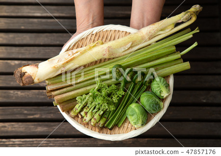 春天蔬菜野生植物 47857176