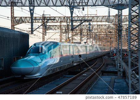 Tohoku Shinkansen Tohoku Shinkansen 47857189
