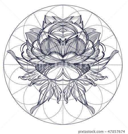 Elegant element of a stylized flower with smooth lines. Stylized floral element for design. Elegant element of a stylized flower with smooth lines. Stylized floral element for design. 47857674