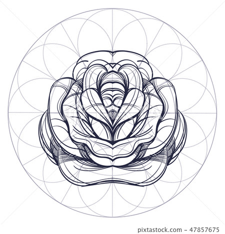 Elegant element of a stylized flower with smooth lines. Stylized floral element for design. Elegant element of a stylized flower with smooth lines. Stylized floral element for design. 47857675