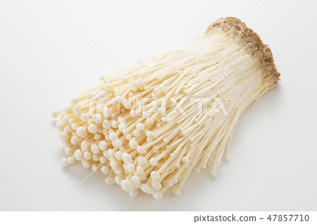 Enoki 47857710