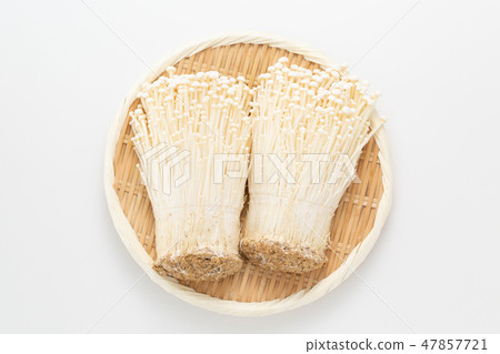Enoki 47857721